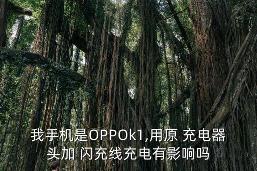 我手機(jī)是OPPOk1,用原 充電器頭加 閃充線充電有影響嗎