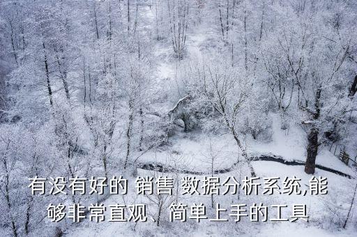 有沒有好的 銷售 數(shù)據(jù)分析系統(tǒng),能夠非常直觀、簡單上手的工具
