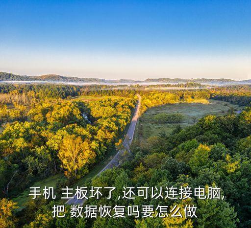 手機(jī)主板壞了讀取數(shù)據(jù),華為手機(jī)主板壞了數(shù)據(jù)能恢復(fù)嗎
