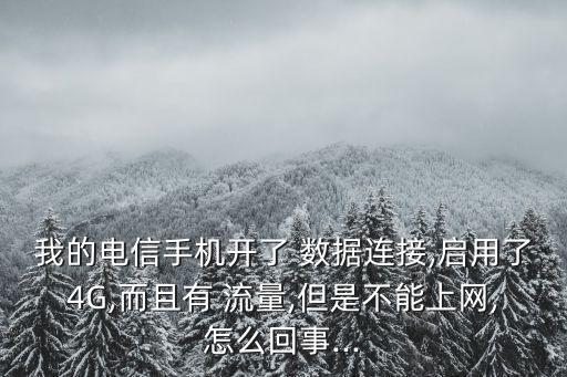 我的電信手機(jī)開(kāi)了 數(shù)據(jù)連接,啟用了4G,而且有 流量,但是不能上網(wǎng),怎么回事...
