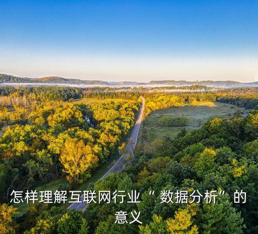 facebook數(shù)據(jù)改進(jìn),Facebook數(shù)據(jù)監(jiān)測(cè)的特殊性