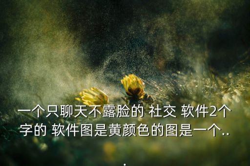 社交軟件數(shù)據(jù)可視圖,IBM軟件數(shù)據(jù)視圖功能