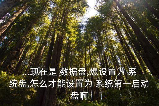 ...現(xiàn)在是 數(shù)據(jù)盤,想設(shè)置為 系統(tǒng)盤,怎么才能設(shè)置為 系統(tǒng)第一啟動盤啊