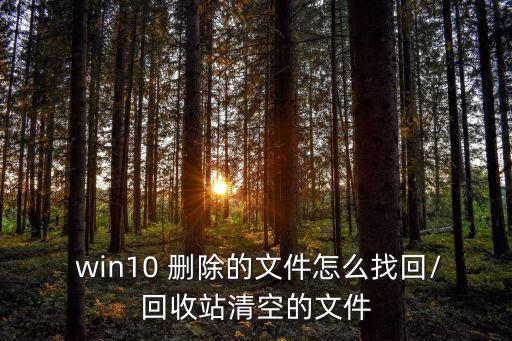  win10 刪除的文件怎么找回/回收站清空的文件