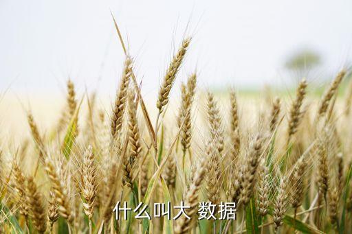 大數(shù)據(jù)與傳統(tǒng)數(shù)據(jù)庫的區(qū)別表現(xiàn)在哪些,論述傳統(tǒng)數(shù)據(jù)庫和大數(shù)據(jù)的區(qū)別