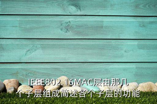IEEE802.16MAC層由那幾個子層組成簡述各個子層的功能