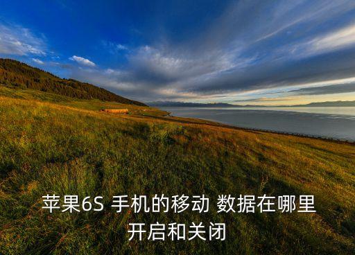  蘋果6S 手機的移動 數(shù)據(jù)在哪里開啟和關(guān)閉