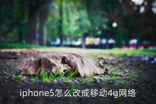 iphone5怎么改成移動4g網(wǎng)絡