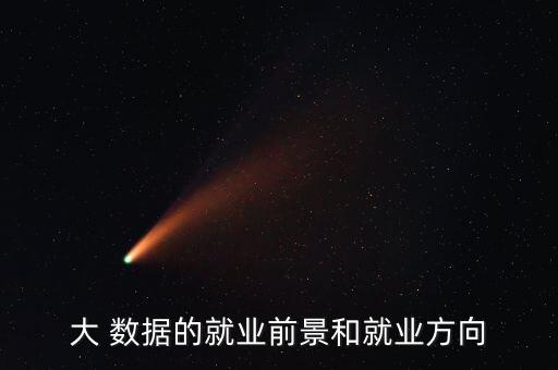 大 數據的就業(yè)前景和就業(yè)方向