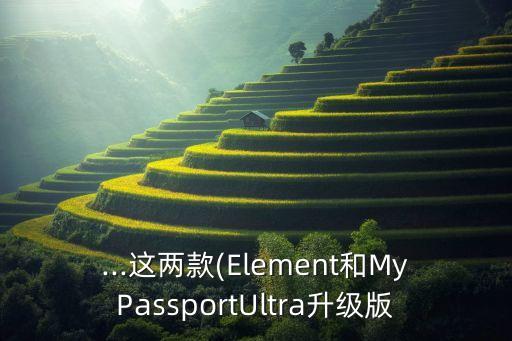 西部數(shù)據(jù)elementspassport