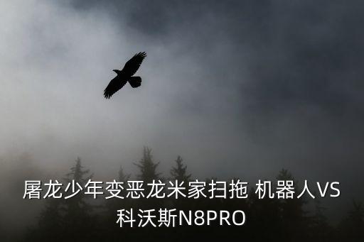 掃地機器人極限大挑戰(zhàn)