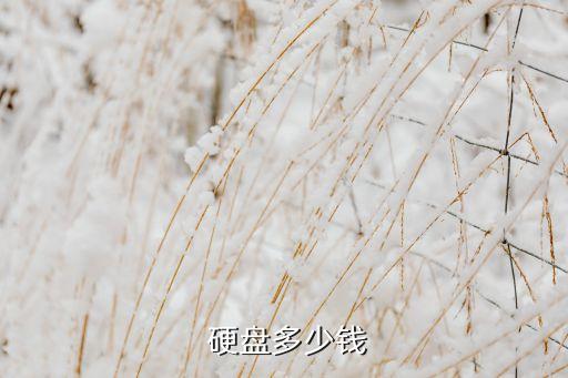  硬盤多少錢
