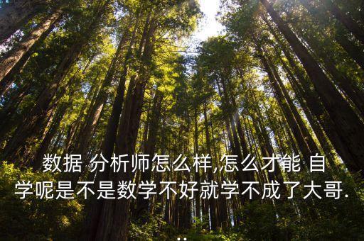  數(shù)據(jù) 分析師怎么樣,怎么才能 自學呢是不是數(shù)學不好就學不成了大哥...