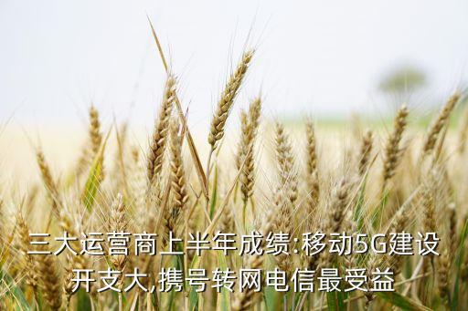 三大運(yùn)營商上半年成績:移動(dòng)5G建設(shè)開支大,攜號(hào)轉(zhuǎn)網(wǎng)電信最受益