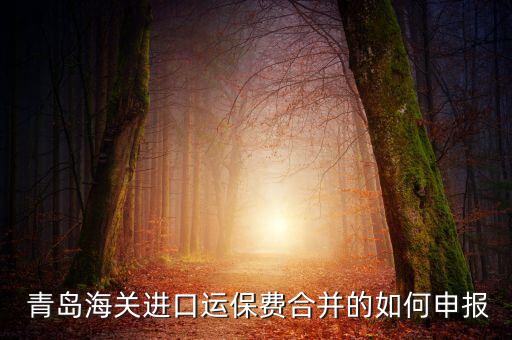  青島海關(guān)進(jìn)口運(yùn)保費(fèi)合并的如何申報(bào)