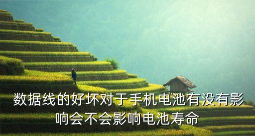 差的數(shù)據(jù)線會燒嗎