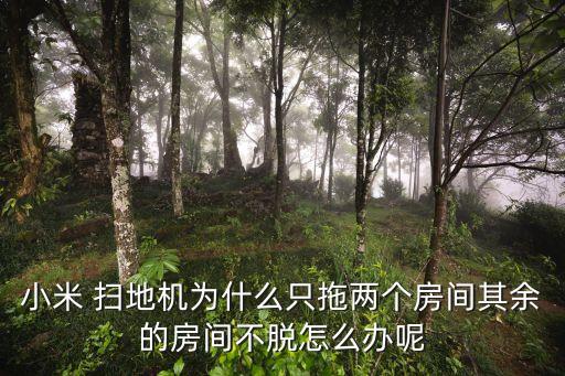 小米 掃地機為什么只拖兩個房間其余的房間不脫怎么辦呢