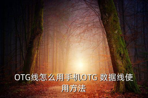 OTG線怎么用手機(jī)OTG 數(shù)據(jù)線使用方法