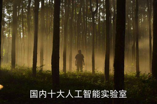國內(nèi)十大人工智能實驗室