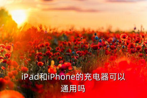 iPad和iPhone的充電器可以通用嗎