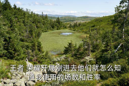  王者 榮耀開局剛進去他們就怎么知道我使用的場數(shù)和勝率