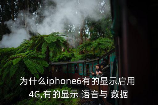 語(yǔ)音和數(shù)據(jù)用4G,iphone沒有語(yǔ)音與數(shù)據(jù)