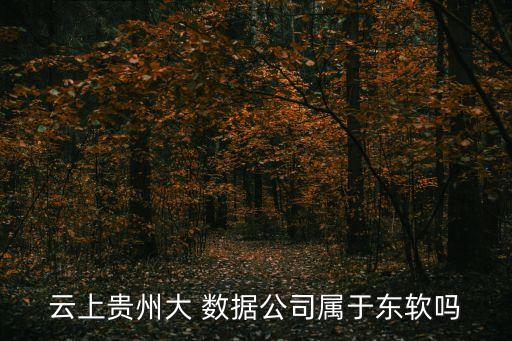 遵義大數(shù)據(jù)發(fā)展有限公司