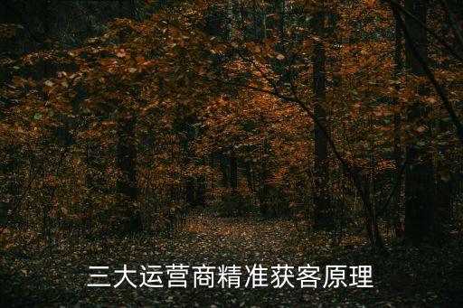 三大運營商精準(zhǔn)獲客原理