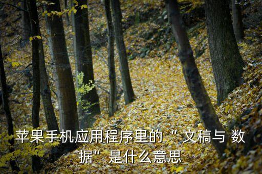 ios軟件中的文稿與數(shù)據(jù),iOS文稿數(shù)據(jù)清理