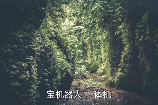 智聯(lián)寶機(jī)器人 一體機(jī)
