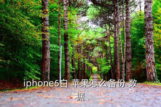 iphone6白 蘋果怎么備份 數(shù)據(jù)