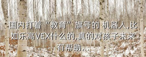 vex機器人制作,VEX IQ機器人