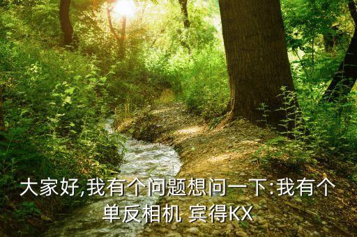 大家好,我有個問題想問一下:我有個單反相機 賓得KX