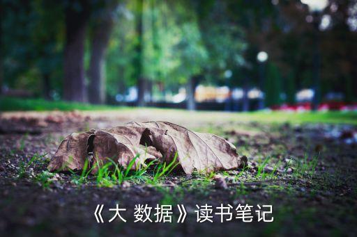 《大 數(shù)據(jù)》讀書筆記