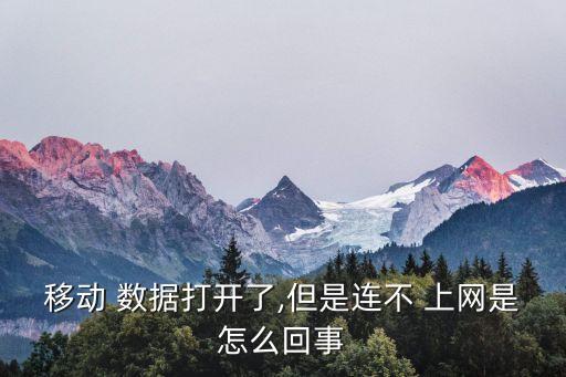 移動 數(shù)據(jù)打開了,但是連不 上網(wǎng)是怎么回事