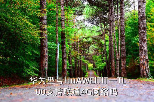 華為tit-tl00數(shù)據(jù)線