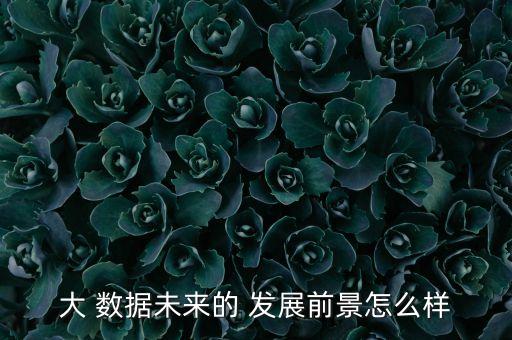 大 數(shù)據(jù)未來(lái)的 發(fā)展前景怎么樣