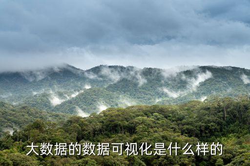 大數(shù)據(jù)的數(shù)據(jù)可視化是什么樣的