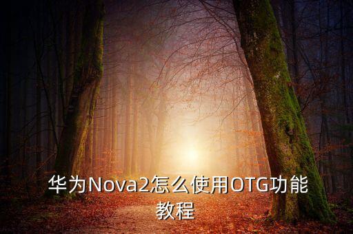  華為Nova2怎么使用OTG功能教程