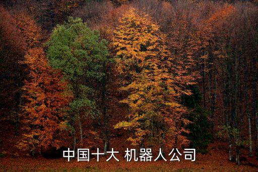 智能機(jī)器人排名,工業(yè)智能機(jī)器人十大排名