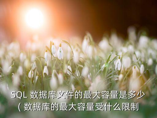SQL 數(shù)據(jù)庫文件的最大容量是多少( 數(shù)據(jù)庫的最大容量受什么限制