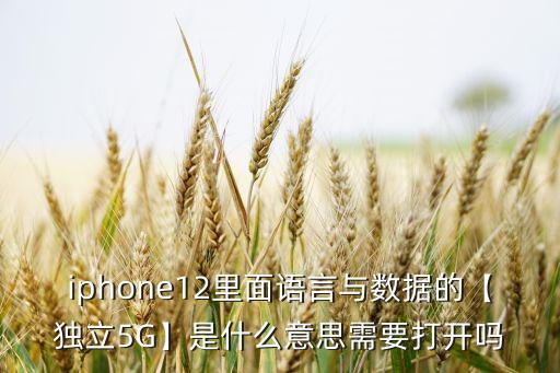 iphone12里面語(yǔ)言與數(shù)據(jù)的【獨(dú)立5G】是什么意思需要打開(kāi)嗎