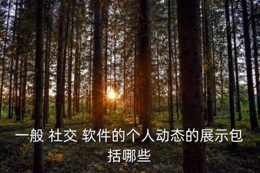 一般 社交 軟件的個人動態(tài)的展示包括哪些