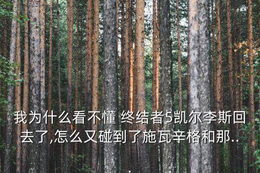 我為什么看不懂 終結(jié)者5凱爾李斯回去了,怎么又碰到了施瓦辛格和那...