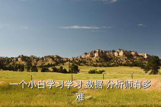 一個(gè)小白學(xué)習(xí)學(xué)習(xí) 數(shù)據(jù) 分析師有多難