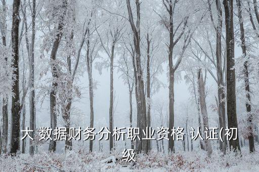 大 數(shù)據(jù)財務(wù)分析職業(yè)資格 認證(初級
