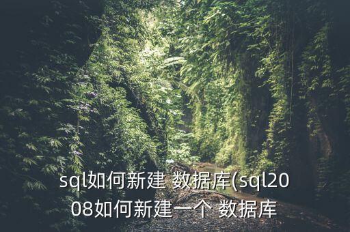 sql如何新建 數(shù)據(jù)庫(kù)(sql2008如何新建一個(gè) 數(shù)據(jù)庫(kù)