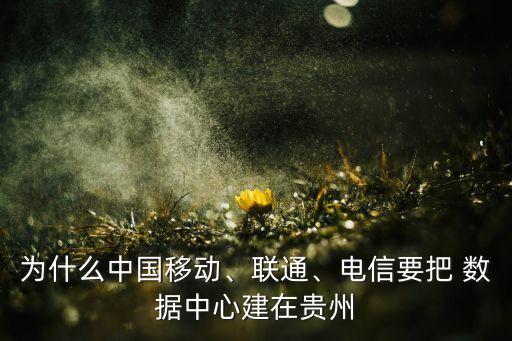 為什么中國移動、聯(lián)通、電信要把 數(shù)據(jù)中心建在貴州