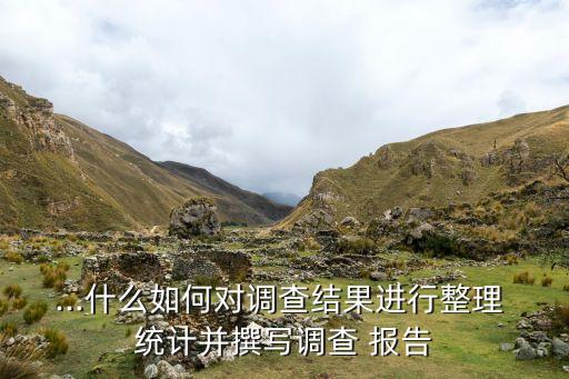 ...什么如何對調(diào)查結(jié)果進(jìn)行整理 統(tǒng)計(jì)并撰寫調(diào)查 報(bào)告