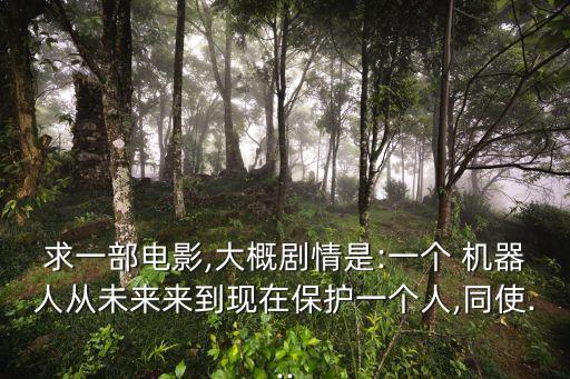 求一部電影,大概劇情是:一個 機器人從未來來到現(xiàn)在保護一個人,同使...